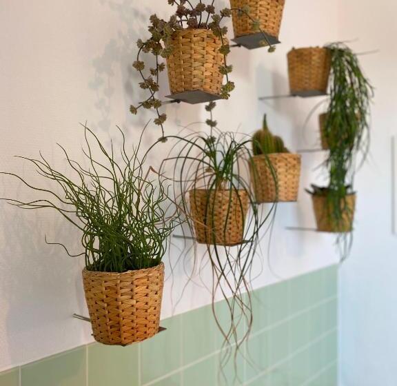 اتاق استاندارد یک نفره, Credible