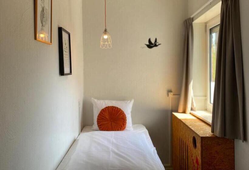 اتاق استاندارد سه نفره, Credible