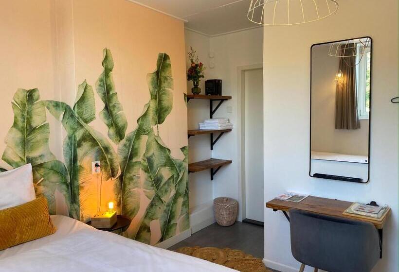 اتاق اکونومی, Credible