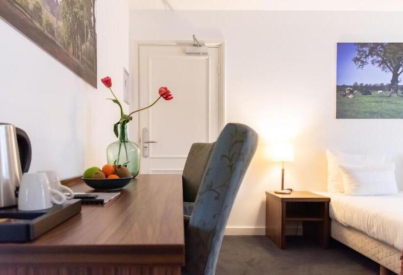 スタンダードルーム, De Zwaan Delden