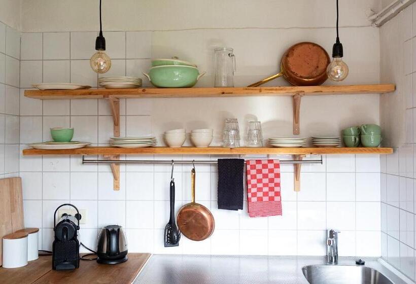 Apartamento 1 Dormitório com Terraço, Logis Pastis