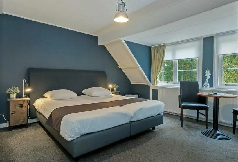 Standard-huone, Randduin