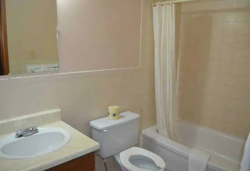 اتاق استاندارد با تخت بزرگ, Mohawk Motel
