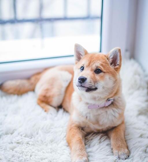 スタンダードルーム, Motel Centre Ville