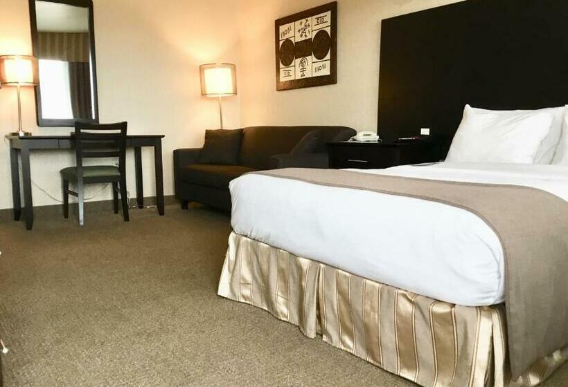 スタンダードルーム, Motel Coconut