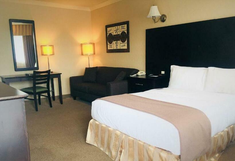 スタンダードルーム, Motel Coconut