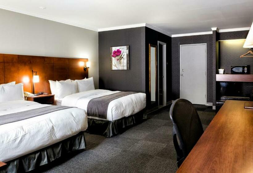 スタンダードルーム, Motel Coconut