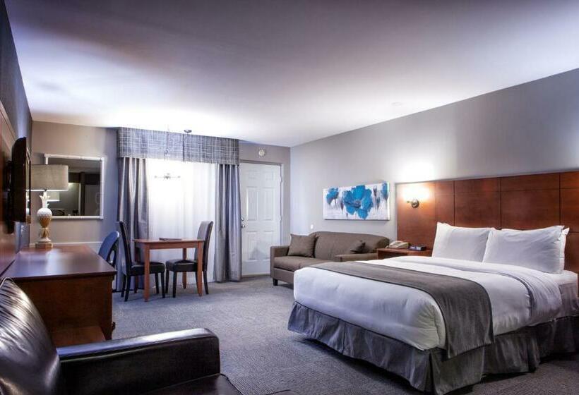 スタンダードルーム, Motel Coconut