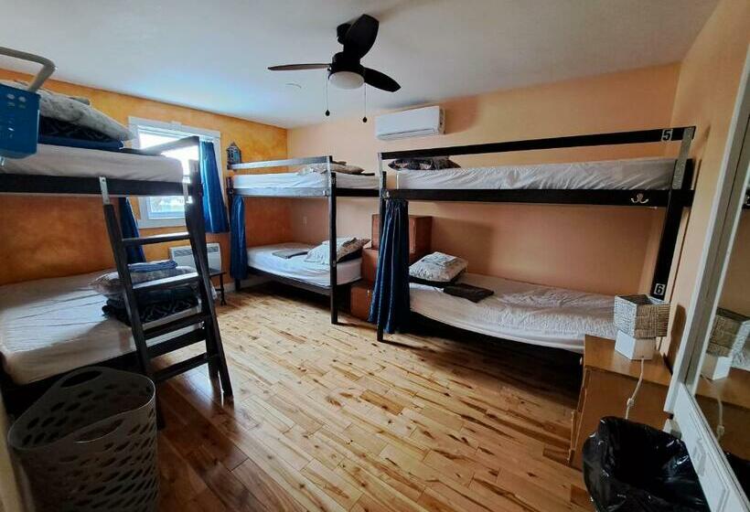 מיטה בחדר משותף, Auberge Jeunesse à Loulou