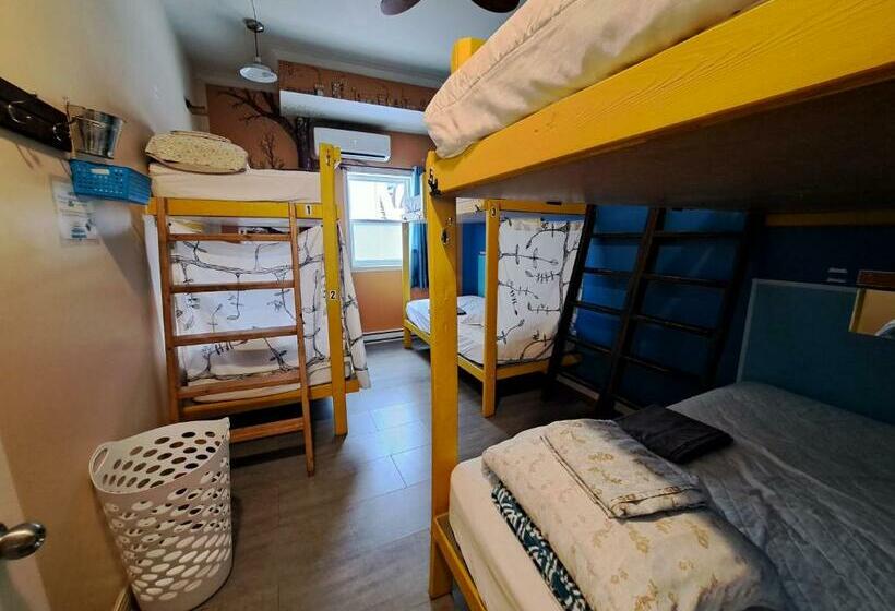 Кровать в Общей Комнате, Auberge Jeunesse à Loulou