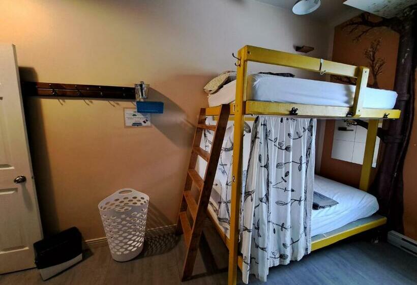 מיטה בחדר משותף, Auberge Jeunesse à Loulou
