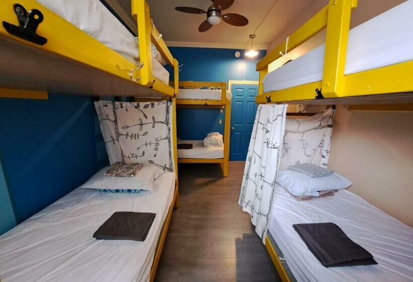 מיטה בחדר משותף, Auberge Jeunesse à Loulou