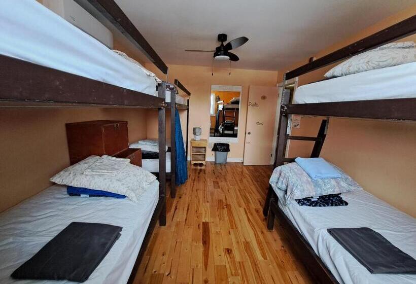 דירת חדר, Auberge Jeunesse à Loulou