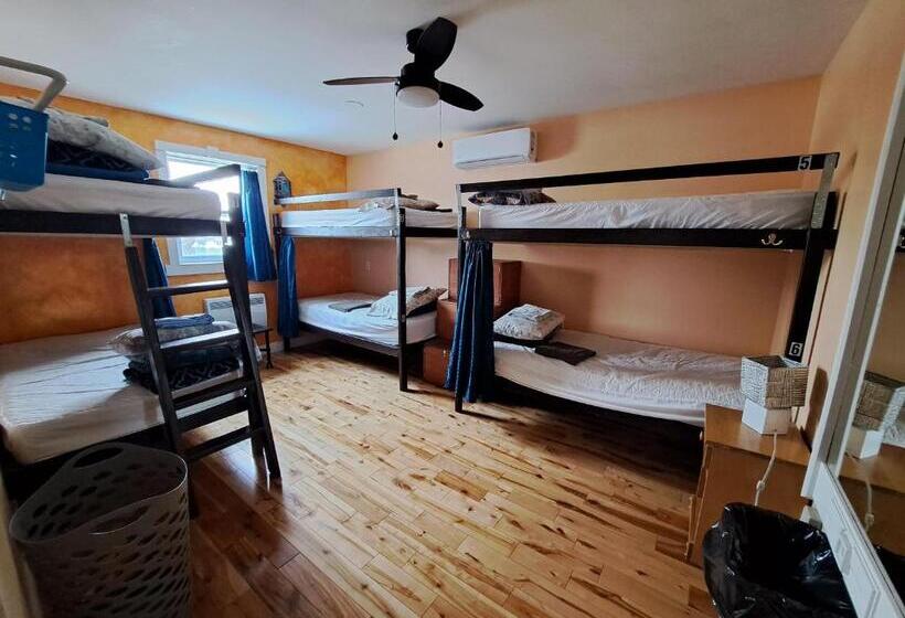 Апартаменты 1 Спальня, Auberge Jeunesse à Loulou