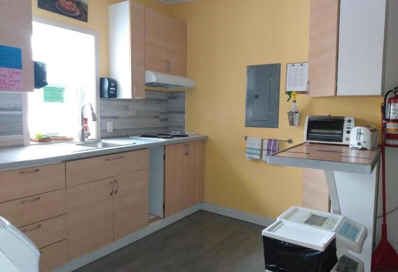 דירת חדר, Auberge Jeunesse à Loulou