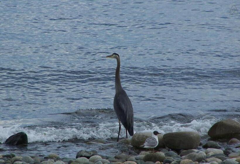 スイート, Qualicum Breeze Beach Resort