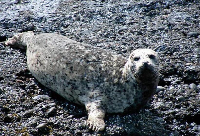スタンダードスタジオ, Qualicum Breeze Beach Resort