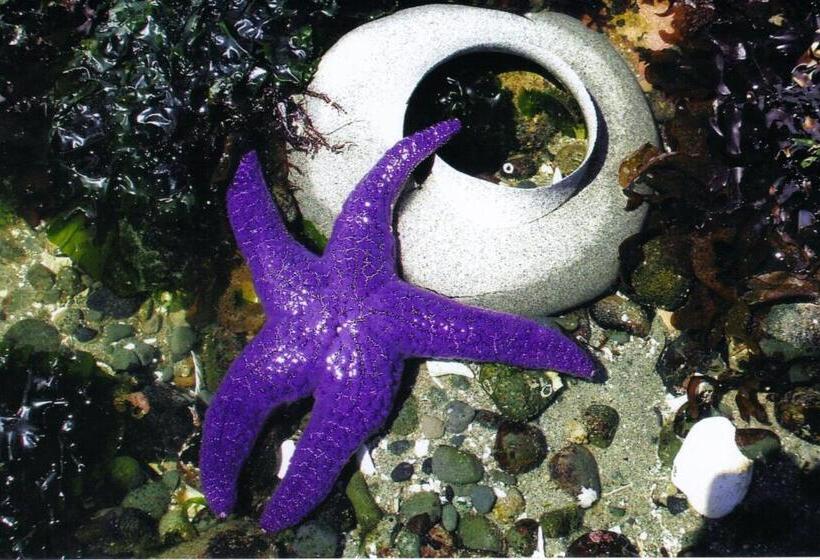 オーシャンビュースタンダードルーム, Qualicum Breeze Beach Resort