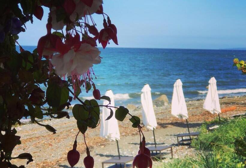 חדר סטנדרט נוף לים, Qualicum Breeze Beach Resort