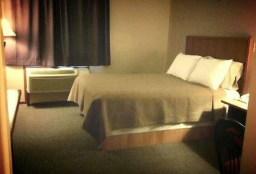 标准间, Queen Bee