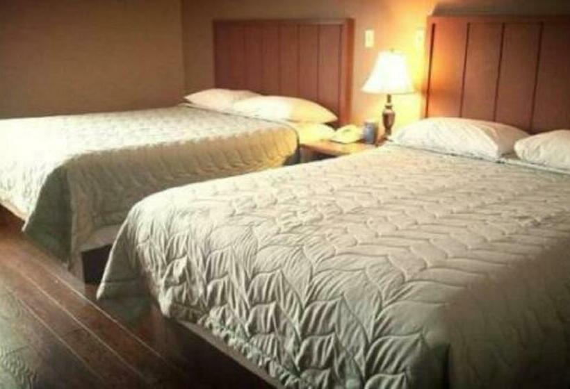 标准间, Queen Bee