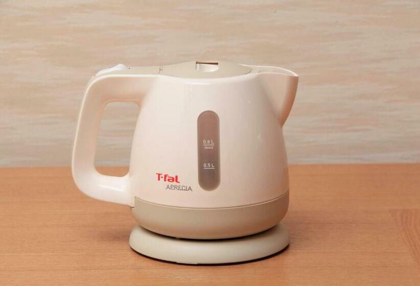 스위트, Reyzenitkinosaki Suite Villa