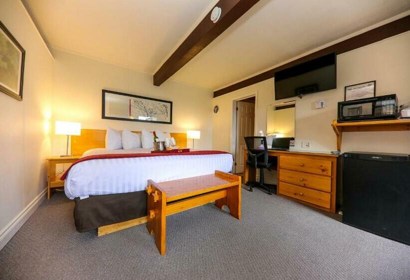 Стандартный Номер Кровать Кинг, Lakeview Motel