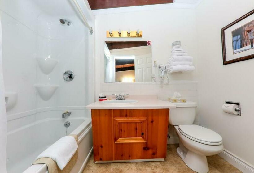 غرفة قياسية سرير كينج, Lakeview Motel