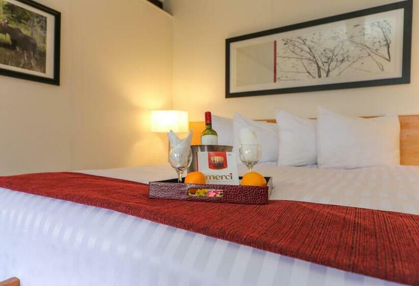 غرفة قياسية سرير كينج, Lakeview Motel