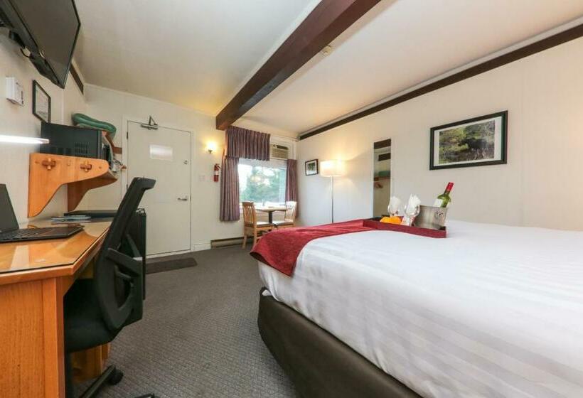 Стандартный Номер Кровать Кинг, Lakeview Motel
