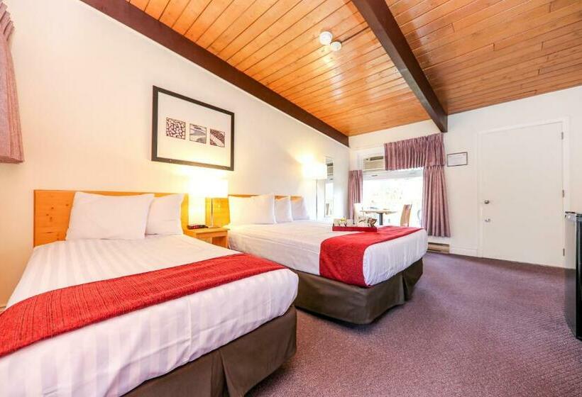 غرفة قياسية, Lakeview Motel