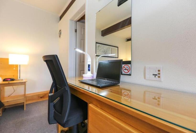 غرفة قياسية, Lakeview Motel