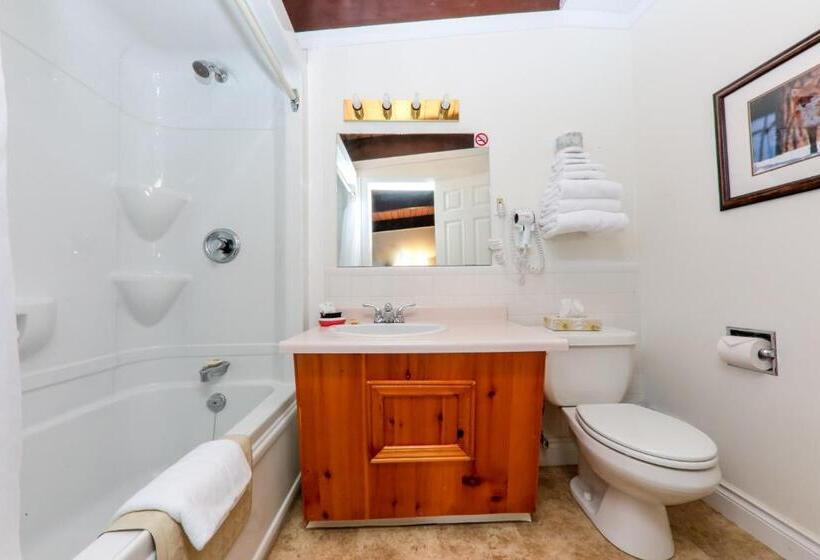 غرفة قياسية, Lakeview Motel