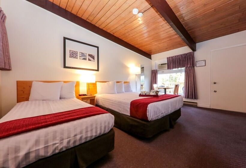 غرفة ديلوكس, Lakeview Motel