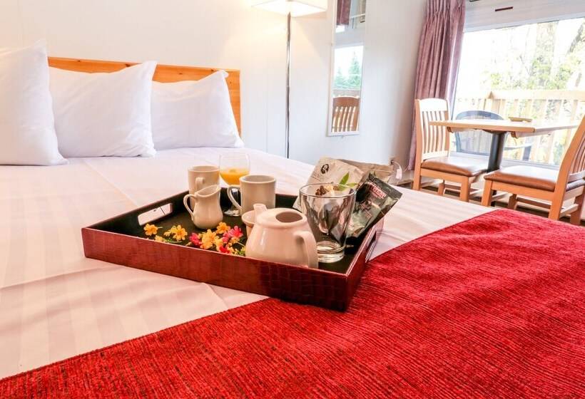 Номер Deluxe, Lakeview Motel