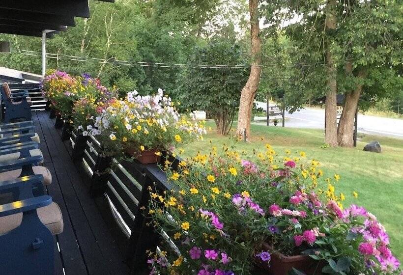 غرفة ديلوكس, Lakeview Motel