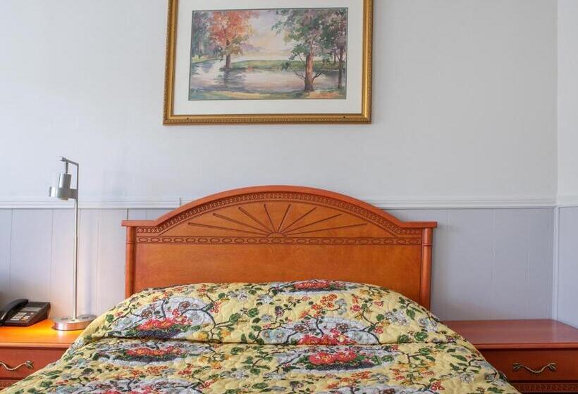 غرفة ديلوكس, Richmond Hill On North