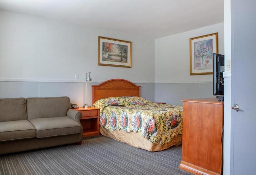 غرفة ديلوكس, Richmond Hill On North