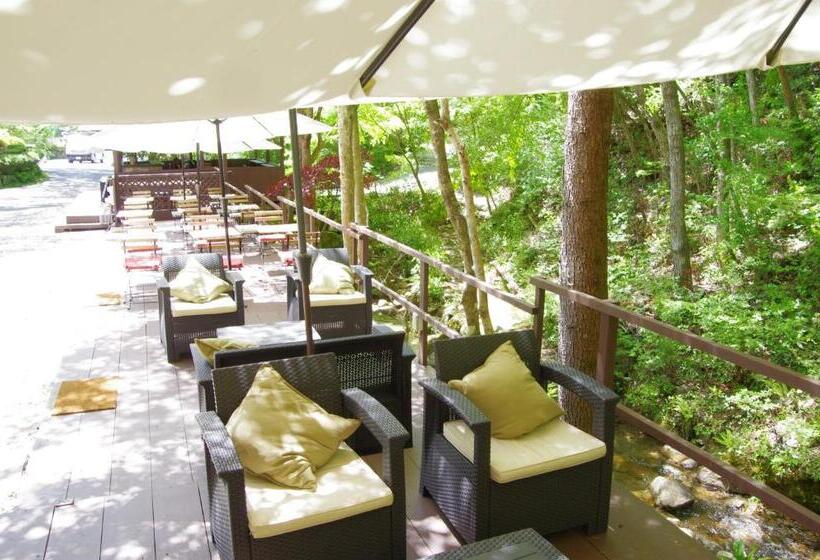 标准房带园景, Iwasuso