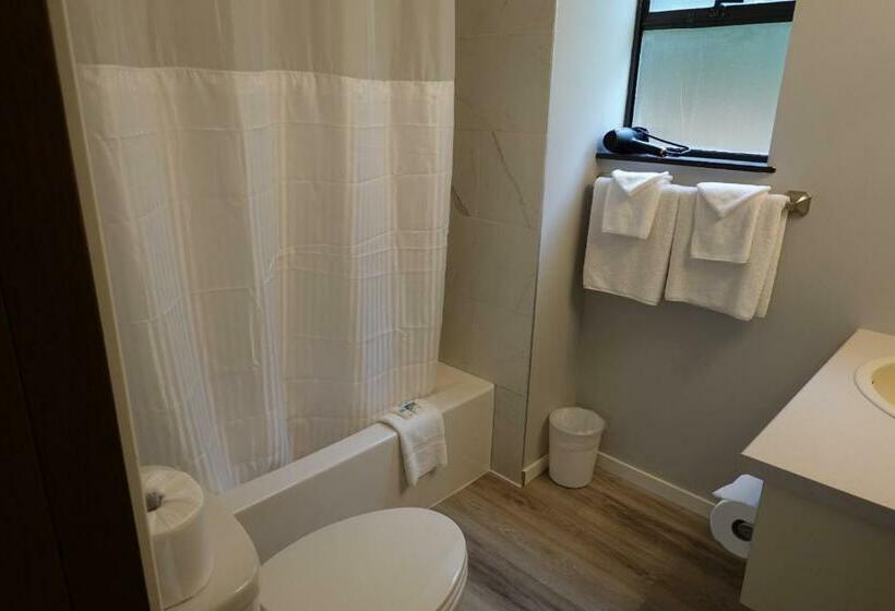 חדר דלוקס, Skylite Motel