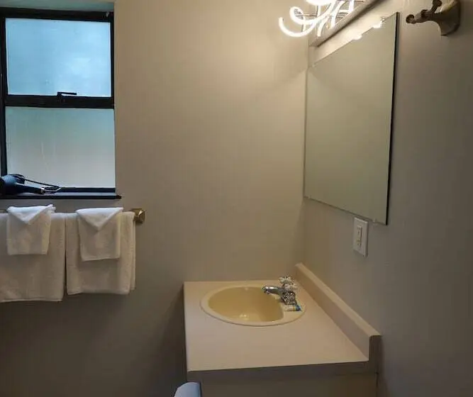 Standard-huone, Skylite Motel