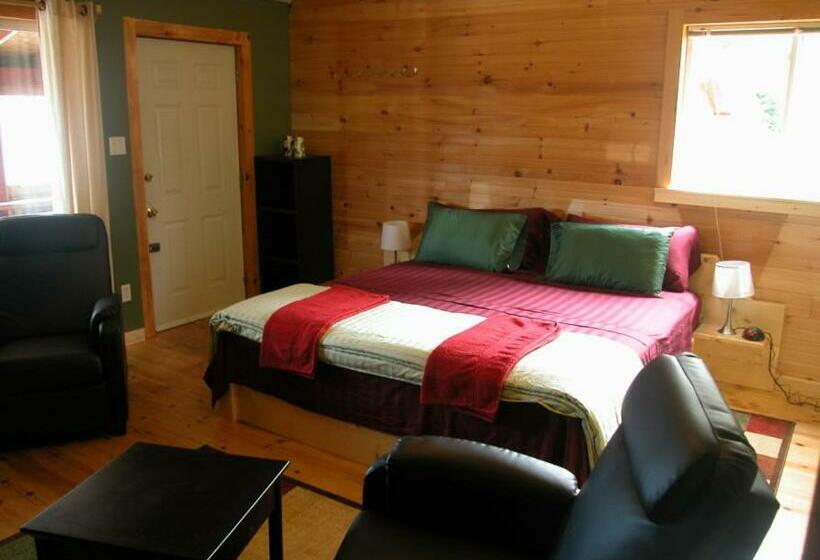 غرفة قياسية مزوَّدة بمطبخ, Waterview B&b