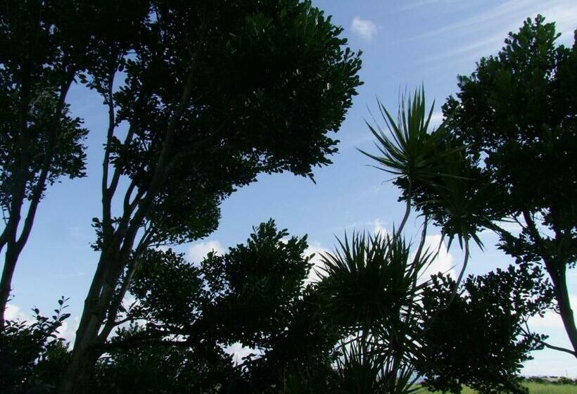 غرفة قياسية حمام مشترك, Hoshizunaso