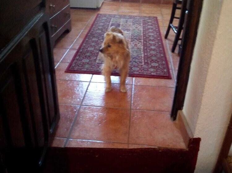 Номер Стандарт Трехместный, Casa La Rosa