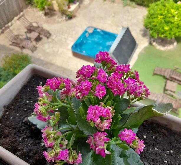 חדר דלוקס, Els Canterers