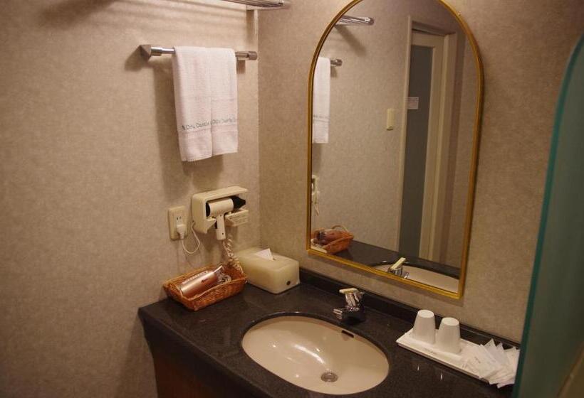 ドゥプレックスルーム, Gifu Castle Inn