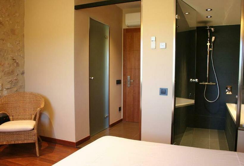 غرفة قياسية, Mas Oliveres Pla De Palau