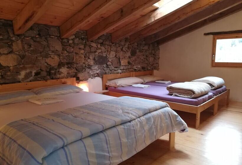 스탠다드 4인용 룸 공용 욕실, Mas Rural El Negre