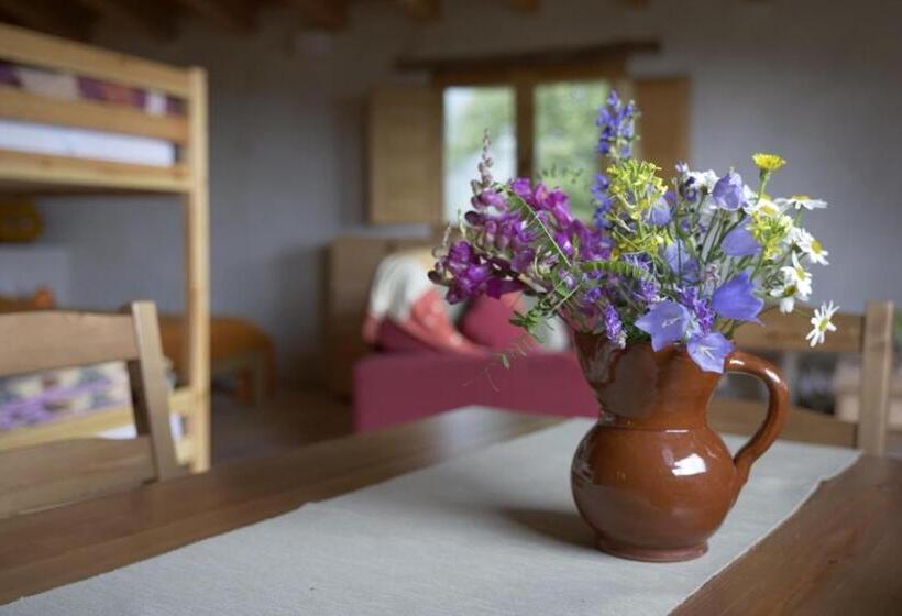 침실 1개 아파트, Mas Rural El Negre