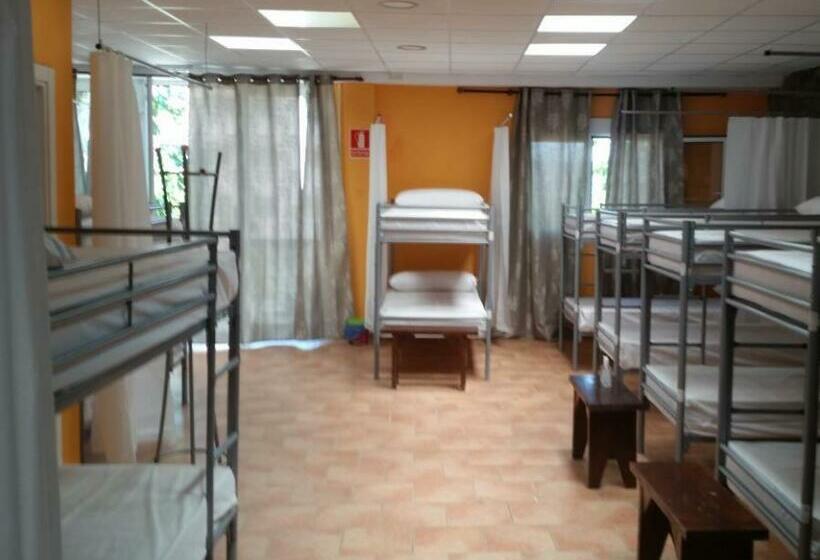 共用房间的床, Obradoiro